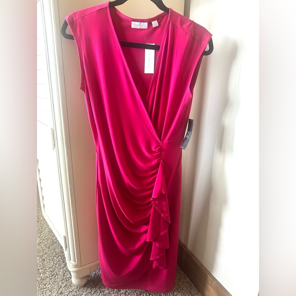 Fuchsia Dress